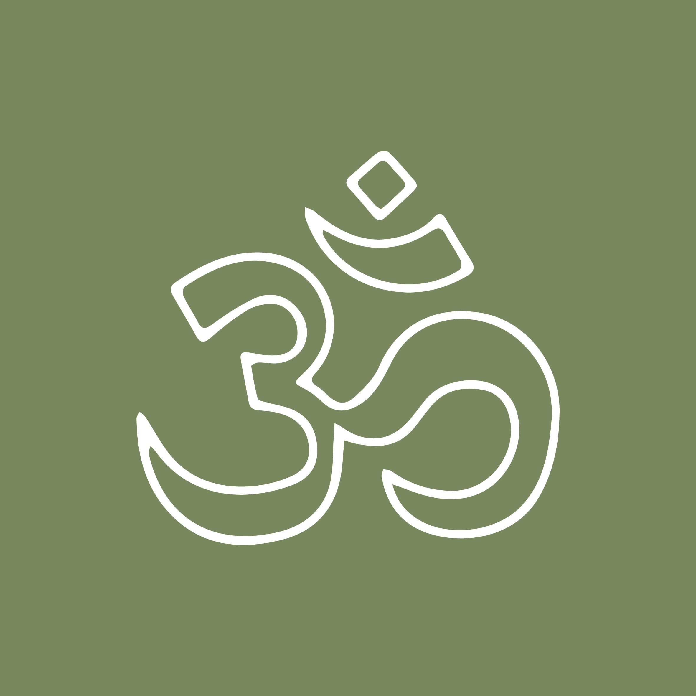 term-custom-icon